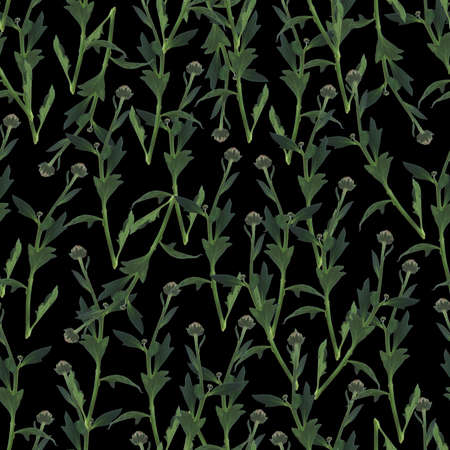 Photo and Digital Seamless Pattern with Nature Chrysanthemums Flowers. Digital Mixed Media Artwork. Endless Motif for Textile Decor and Design.の写真素材