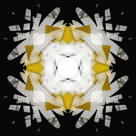 Abstract White and Yellow Snowflake Isolated on Black Background.