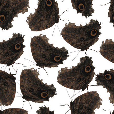 Photo and Digital Seamless Pattern with Black butterfly on white background.の写真素材