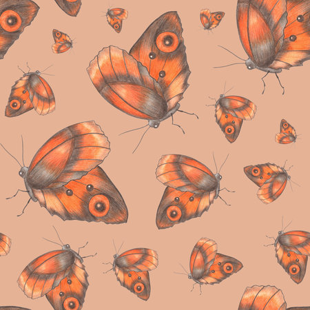 Seamless Pattern with Colorful Butterflies on Pink Background.の写真素材