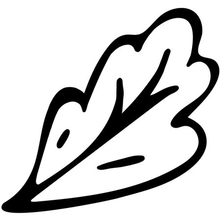 Black and White Hand Drawn Decorative Graphic Flower Leaf.の写真素材