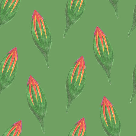 Marigold Flower Bud Seamless Pattern. Floral Bud Digital Paper.の写真素材