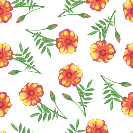 Marigold Flower Seamless Pattern. Hand Drawn Floral Digital Paper on White Background.の写真素材