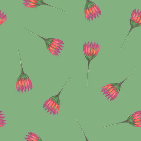 Chrysanthemum Flower Seamless Pattern. Floral Digital Paper.の写真素材