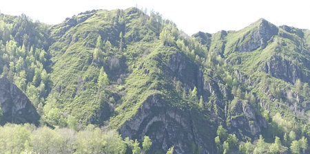 A vibrant landscape of a lush green hillside with verdant trees and unique rock formations, captured in Altay, Russia. This tranquil scene embodies nature s beauty and spring s arrival.の写真素材