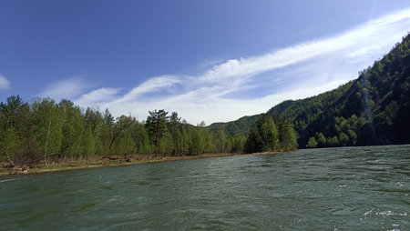 A tranquil river winds through a lush green forest beneath a clear blue sky, featuring soft clouds. Perfect for themes related to nature, travel, and outdoor exploration.の写真素材