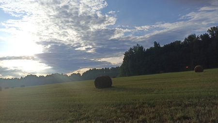 Depict the serene beauty of a rural landscape with scattered hay bales across rolling hills, bathed in the warm light of evening, capturing the essence of peaceful country life.の写真素材