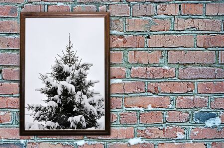 Brick wall in the winter frozen in the snowの写真素材