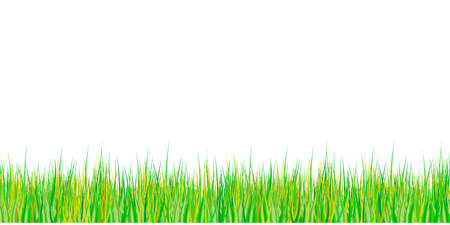 Spring grass seamless pattern. Easter decoration with spring grass and meadow flowers. Isolated on white background. Vector illustrationのイラスト素材