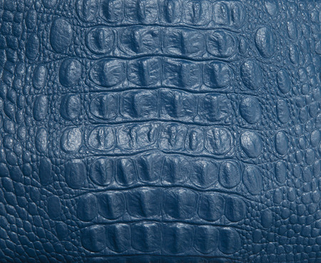 blue leather texture closeup, useful as backgroundの写真素材