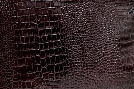 Crocodile skin textureの写真素材