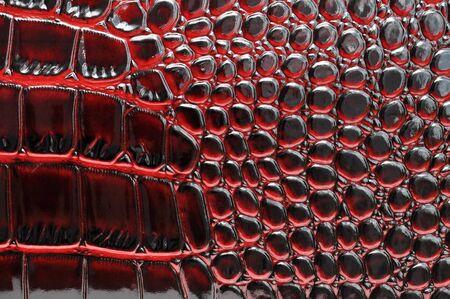 Fashion skin. Leather texture background. Close-up photoの写真素材