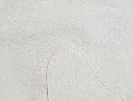 Fashion skin. Leather texture background. Close-up photoの写真素材
