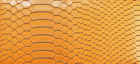 Fashion skin. Leather texture background. Close-up photoの写真素材