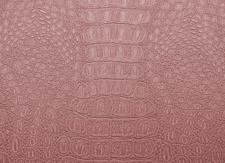 Fashion skin. Leather texture background. Close-up photoの写真素材