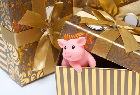 The pig is a symbol of the year 2019 in the Chinese calendar. Piglet in a festive box. Festive background.の写真素材