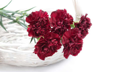 A bouquet of burgundy carnations in the basket. Shallow depth of field.の写真素材