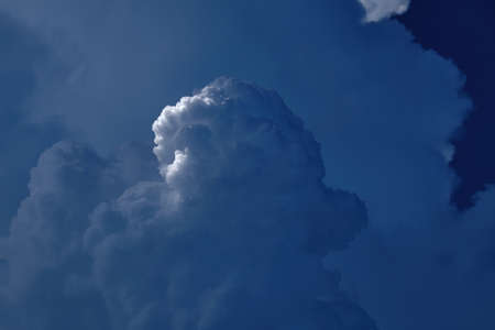 Dark sky with storm cloud look like a dog.