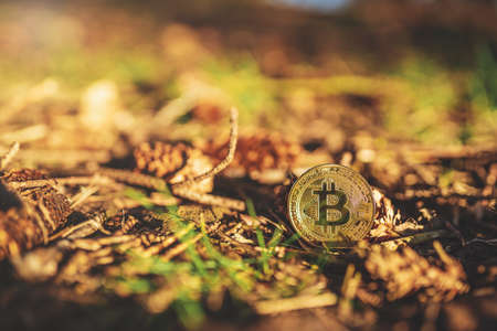 Close-up of Bitcoin on ground in a forest, natural background with copy space. Single physical metal...