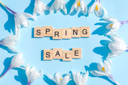 Spring sale text and white crocusses on blue backgroundの写真素材