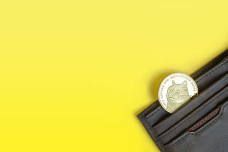 Dogecoin or Doge crypto currency coin with dog's face in brown leather wallet on yellow background...