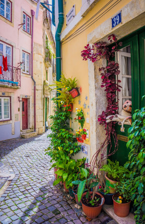 LISBON, PORTUGAL - MARCH 25, 2017: Beautiful facade of an old house with plants. Narrow old streets of Alfama district, Lisbon, Portugal. Green entranceのeditorial素材