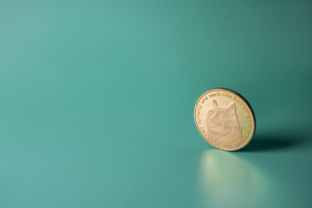 Dogecoin crypto gold single coin on green background with copy space. Popular Doge cryptocurrency bannerの写真素材