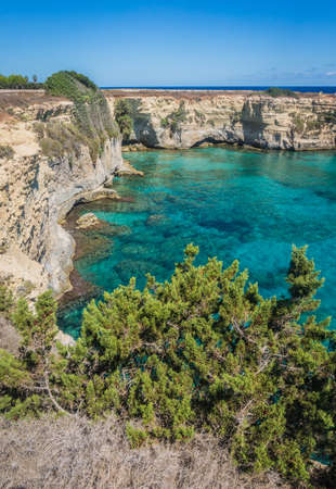 Torre Sant Andrea, Salento sea coast, Apulia, Italy. Beautiful rocky shore with cliffs and green juniper in Puglia. Blue saturated clear water. Bright Summer day. No people. Faraglioni Melendugno.の写真素材
