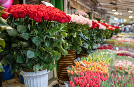 Flower shop with bouquets of various fresh tulips and roses for sale. Street flower market.の写真素材