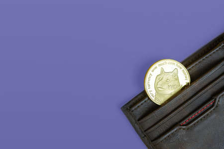 Dogecoin or Doge golden crypto currency coin with dogs face in brown leather wallet on very peri color of the year 2022 background with copy space for text.の写真素材