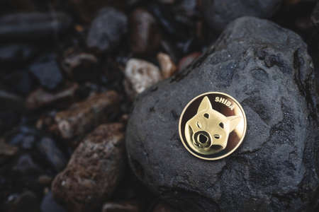 Shiba Inu crypto coin with copy space for text. Close-up of single gold Shib cryptocurrency on rocks outdoor. Low key toned photo for banners and news about meme token.の写真素材