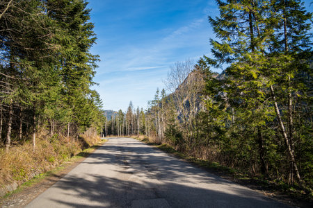Morskie Oko road, Tatra Mountains in Polandの写真素材