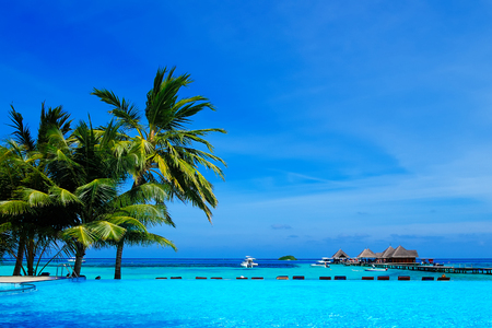 Beautiful tropical resort in Maldives.のeditorial素材