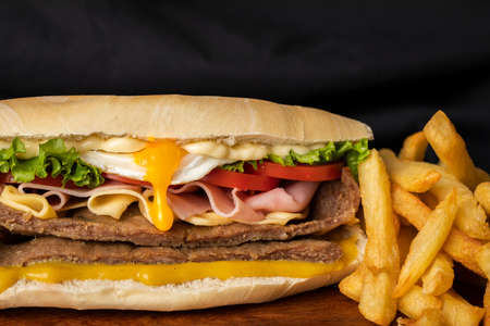 Complete milanesa sandwich without spicy, bread, lettuce, tomato, ham, cheese, egg with friesの写真素材