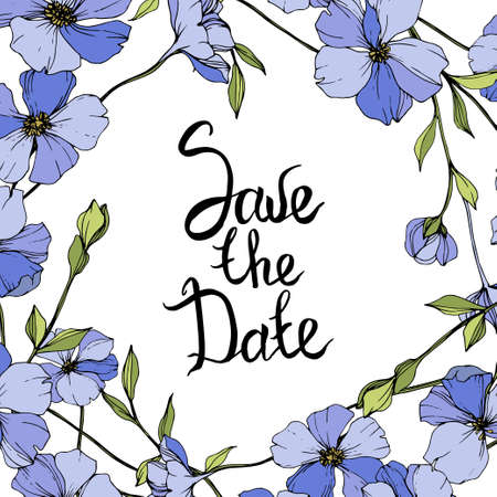 vector blue flax wildflowers isolatedのイラスト素材