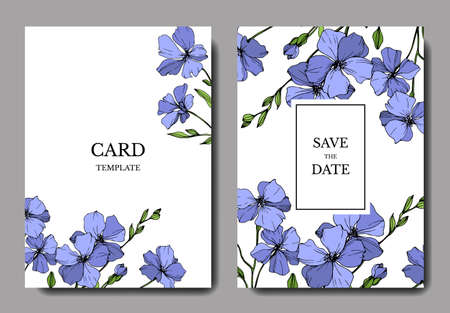 vector blue flax floral botanicalのイラスト素材