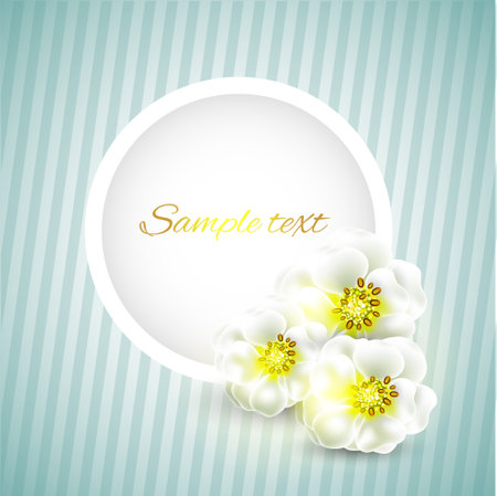 vector floral background designのイラスト素材