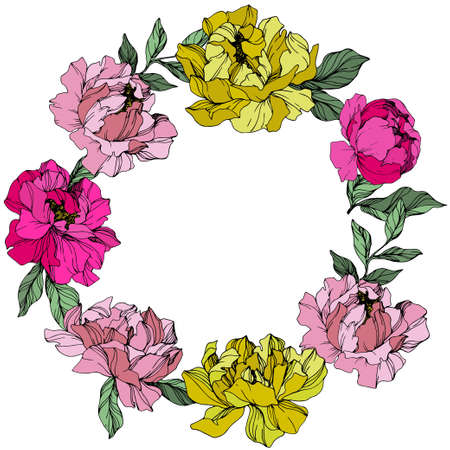 Vector Pink and yellow peony. Floral botanical flower. Wild spring leaf wildflower isolated. Engraved ink art. Frame border ornament square.のイラスト素材