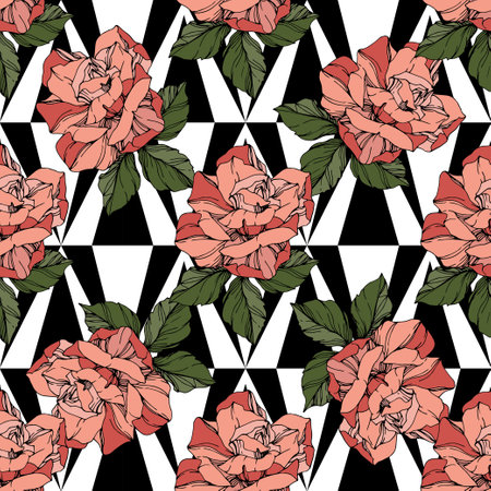 beautiful vector roses floral botanicalのイラスト素材