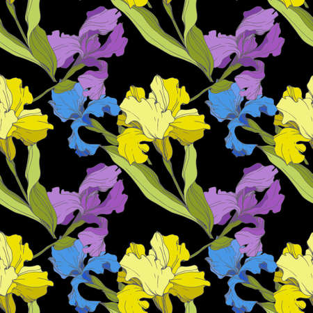 Vector Iris floral botanical flower. Seamless background pattern. Fabric wallpaper print texture.のイラスト素材