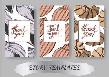 Vector Summer beach seashell. Black and white engraved ink art. Wedding background card decorative border.のイラスト素材