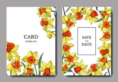 Vector Narcissus botanical flower. Yellow and green engraved ink art. Wedding background card floral decorative border.のイラスト素材