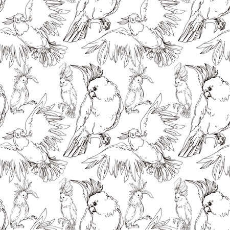 Vector Sky bird cockatoo in a wildlife isolated. Black and white engraved ink art. Seamless background pattern.のイラスト素材
