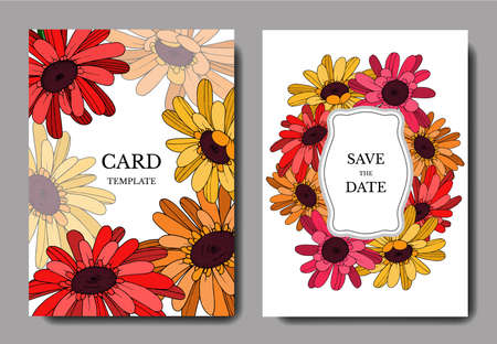 vector gerbera floral botanical flowerのイラスト素材