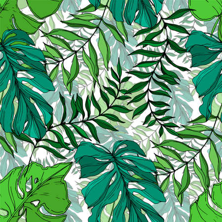 Vector Palm beach tree leaves jungle botanical. Black and white engraved ink art. Seamless...