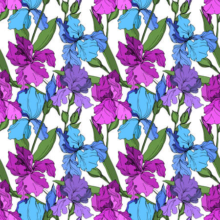 vector iris floral botanical flowersのイラスト素材