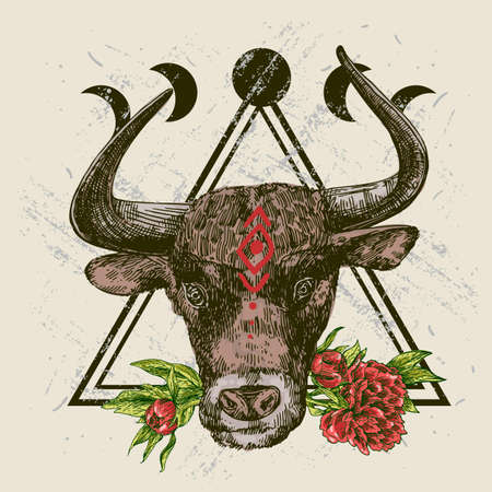 bull head sketch hand drawn beautiful vector illustrationのイラスト素材