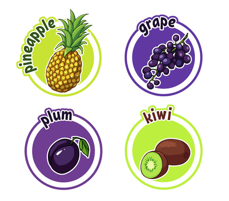Four stickers with different fruits. Pineapple, grape, plum and kiwi.のイラスト素材