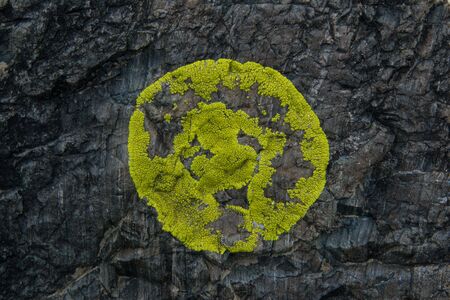 The natural pattern on the stone surface in the mountains of Altai Republic