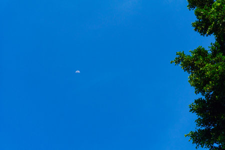The sky and Old basketball board without net